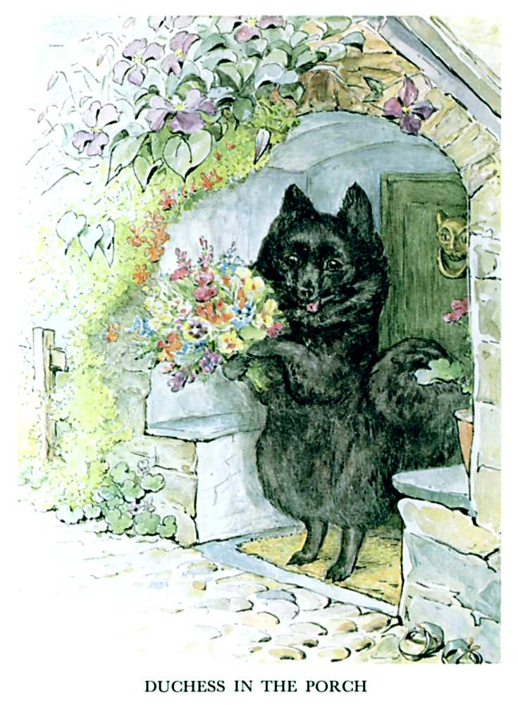 DUCHESS IN THE PORCH