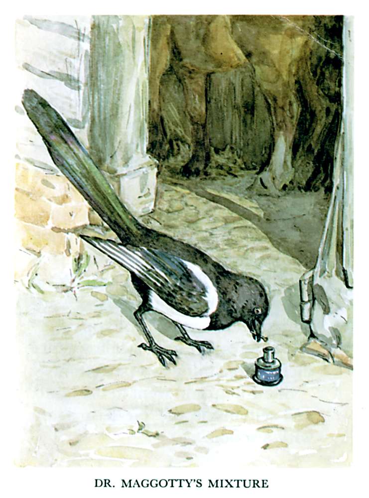 DR. MAGGOTTY'S MIXTURE