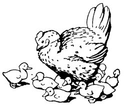 Mrs. Tittlemouse & Butterfly